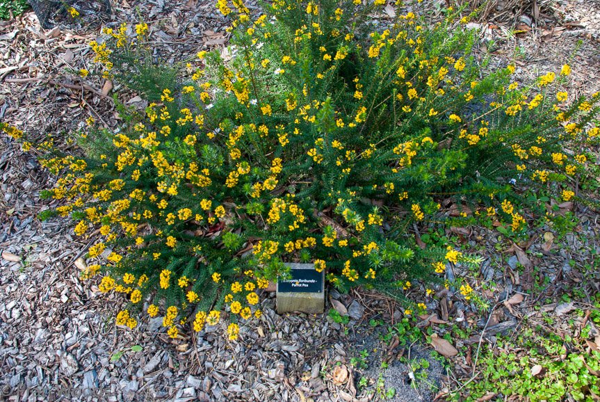 <b>Shoalhaven Botanic Gardens</b>
