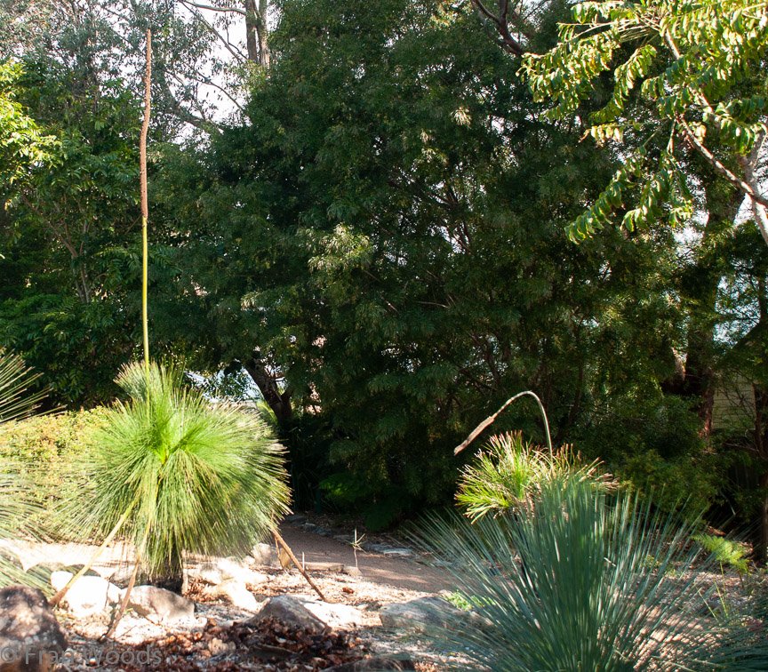 <b>Shoalhaven Botanic Gardens</b>