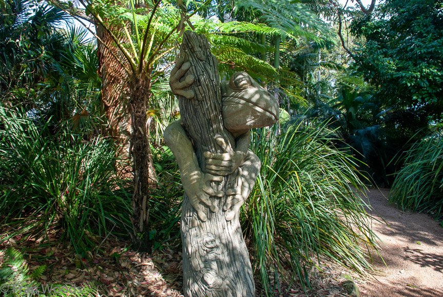 <b>Shoalhaven Botanic Gardens</b>