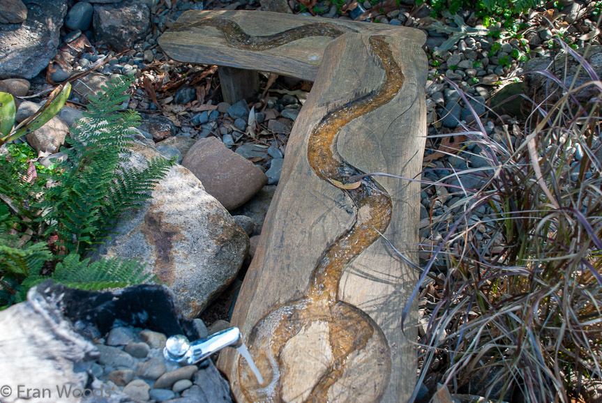 <b>Shoalhaven Botanic Gardens</b>