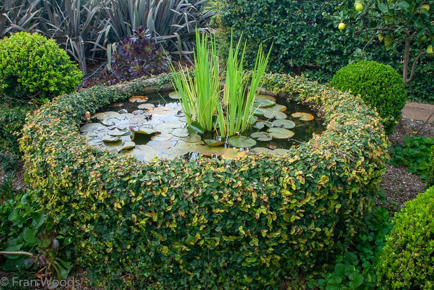 <b>Fish pond at Merribee Gardens, Numbaa</b>