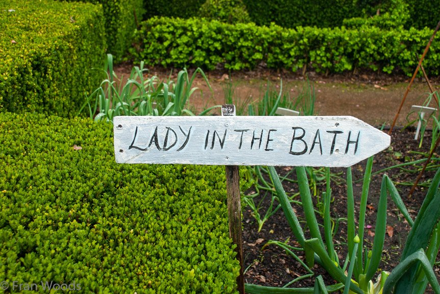 <b>Merribee Gardens, Numbaa</b>