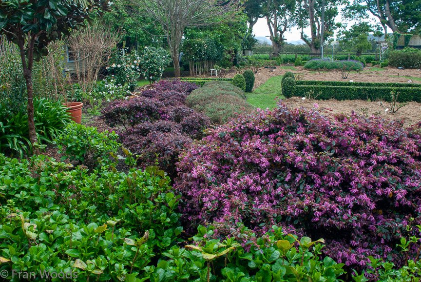 <b>Merribee Gardens, Numbaa</b>