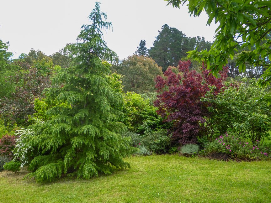 <b>Donna's garden, Mongarlowe</b>