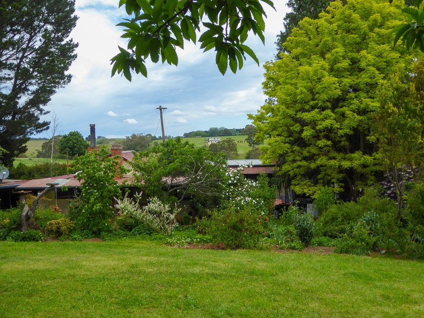 <b>Donna's garden, Mongarlowe</b>