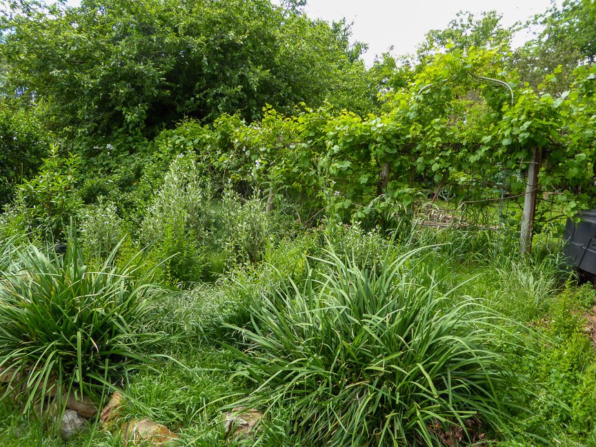 <b>Donna's garden, Mongarlowe</b>