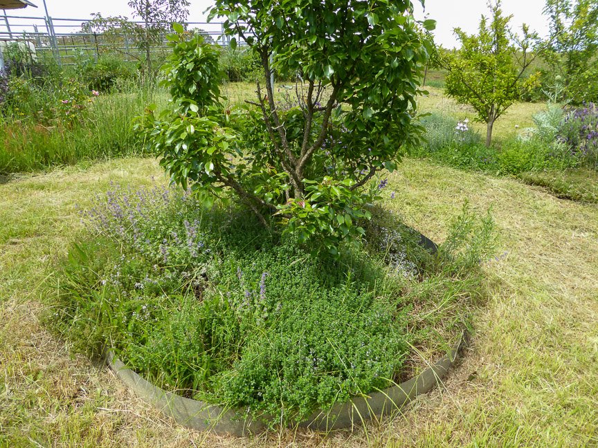 <b>Donna's garden, Mongarlowe</b>