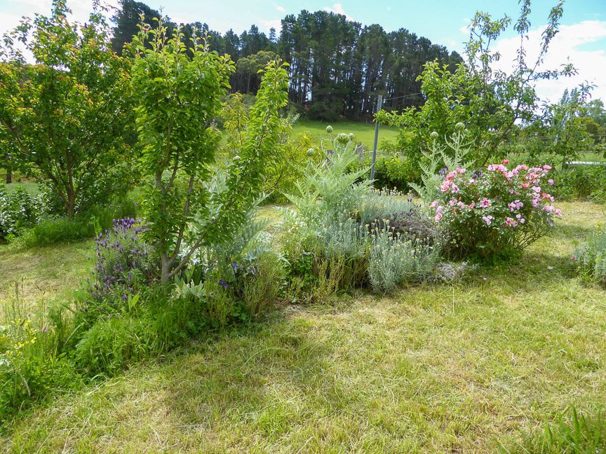 <b>Donna's garden, Mongarlowe</b>