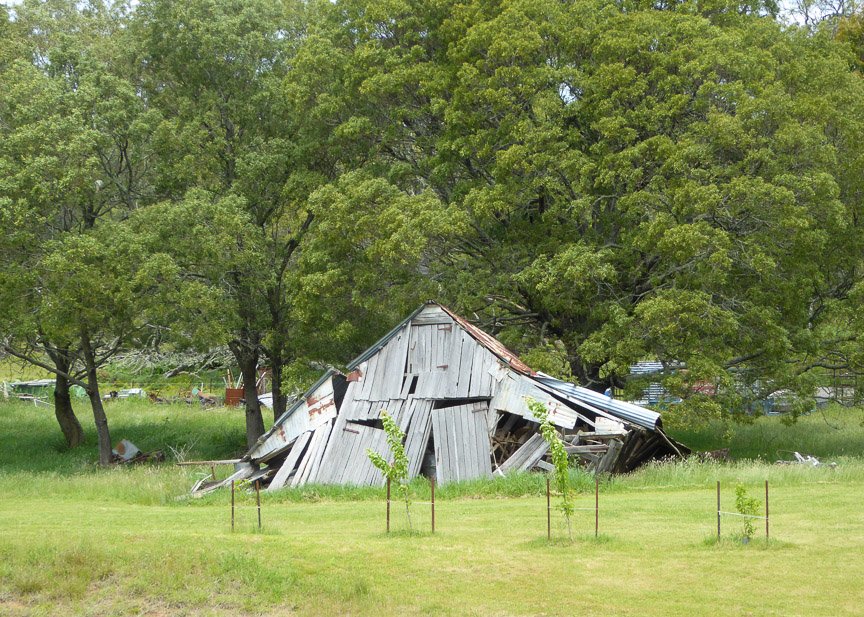 <b>Hollow Wood, Mongarlowe</b>