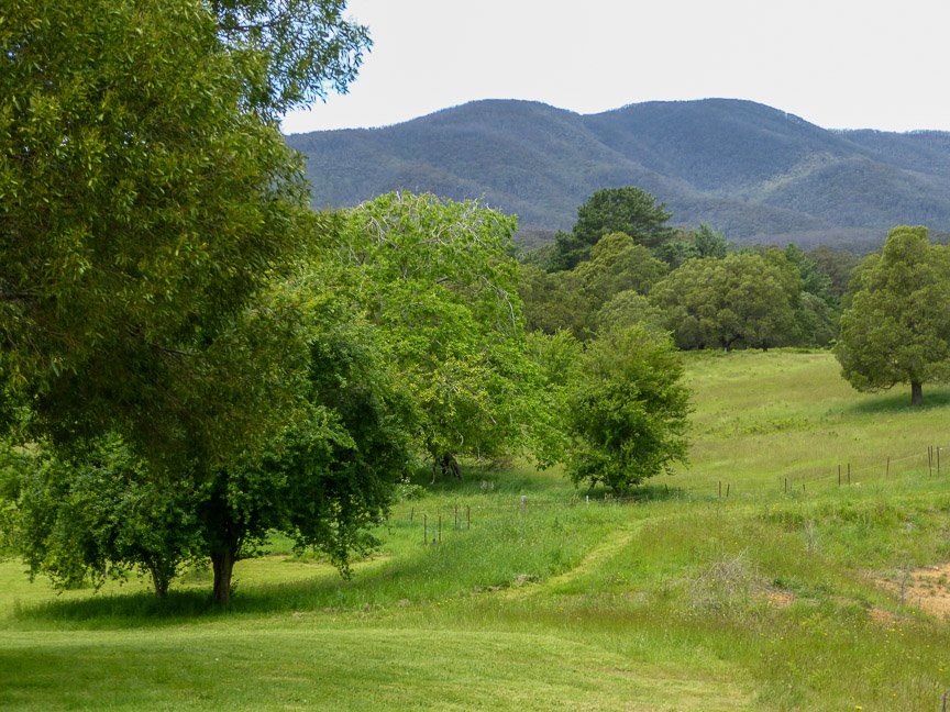 <b>Hollow Wood, Mongarlowe</b>