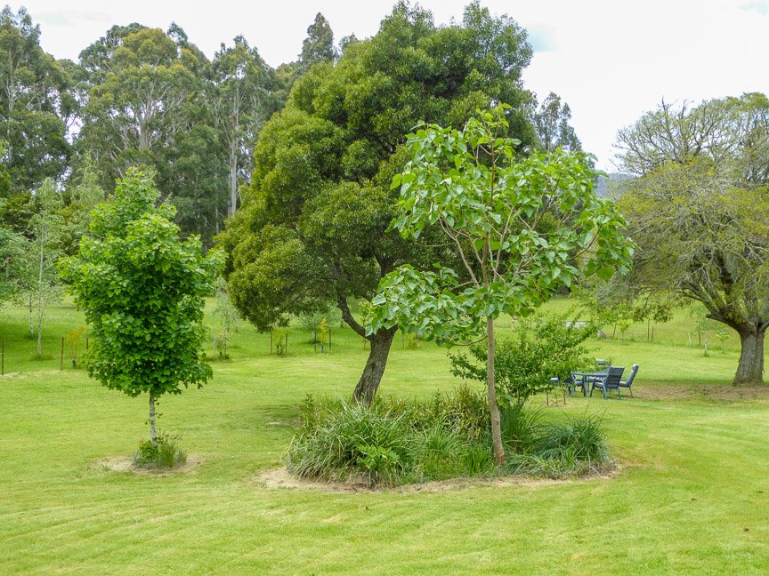 <b>Hollow Wood, Mongarlowe</b>