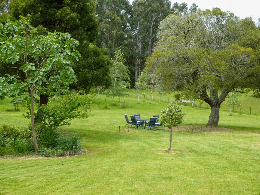 <b>Hollow Wood, Mongarlowe</b>