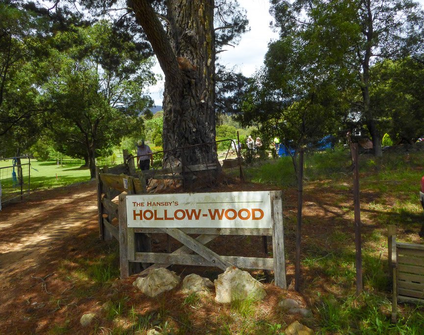 <b>Hollow Wood, Mongarlowe</b>
