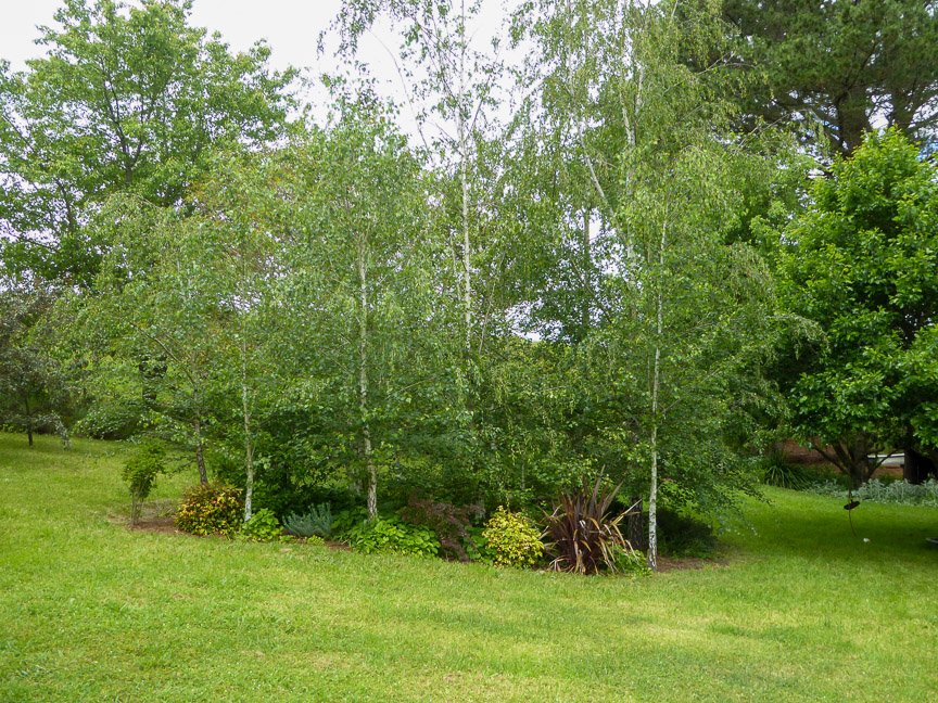 <b>Donna's garden, Mongarlowe</b>