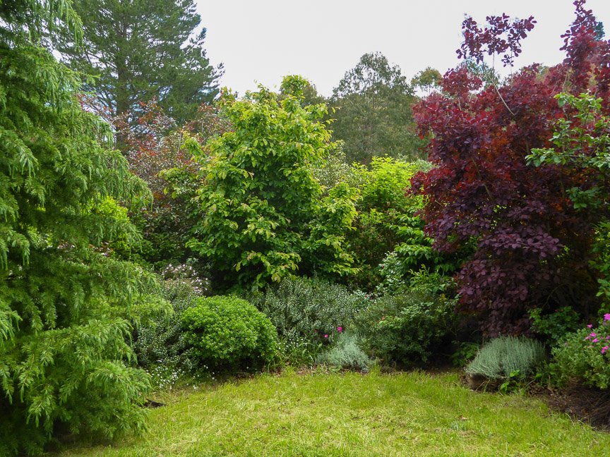 <b>Donna's garden, Mongarlowe</b>