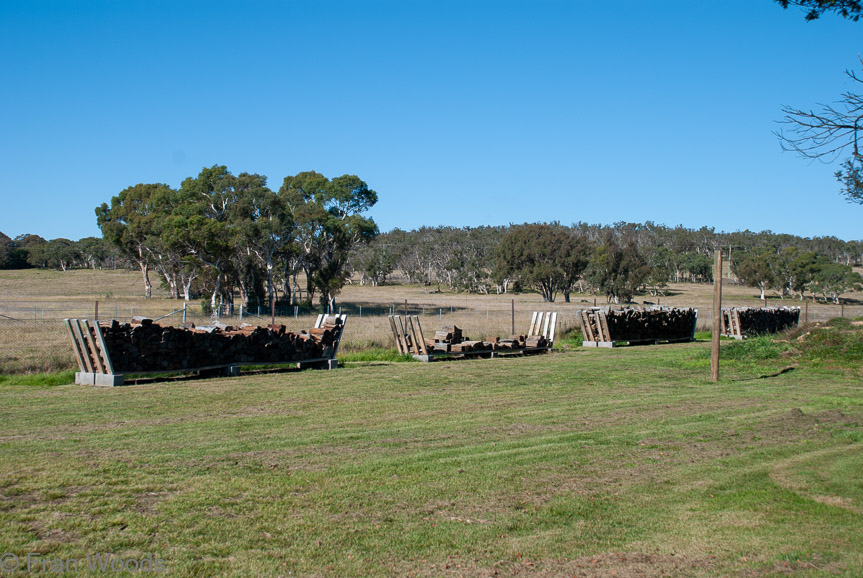 Lucille Farm