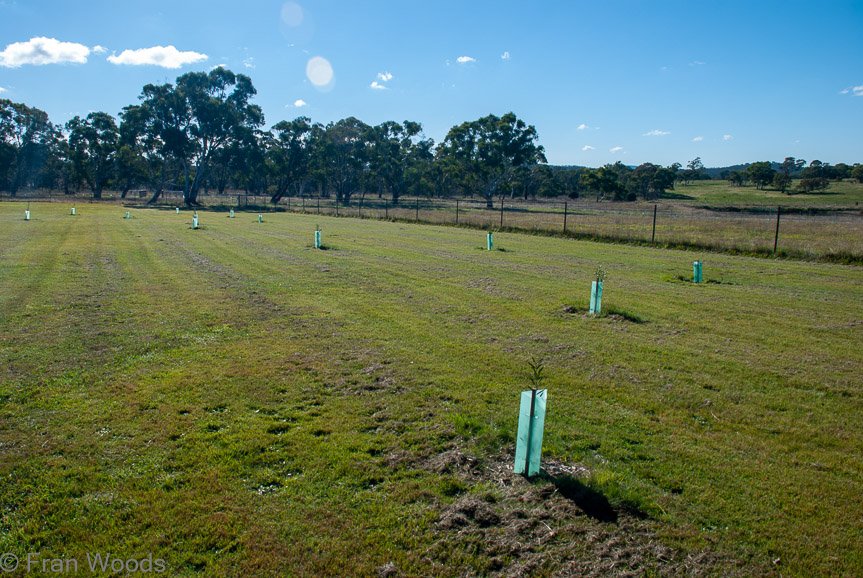 Lucille Farm