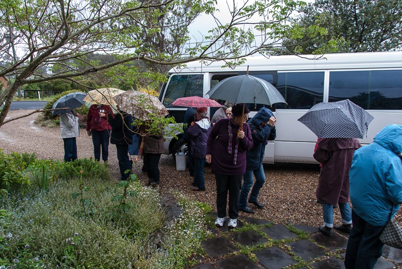Moruya garden visit.