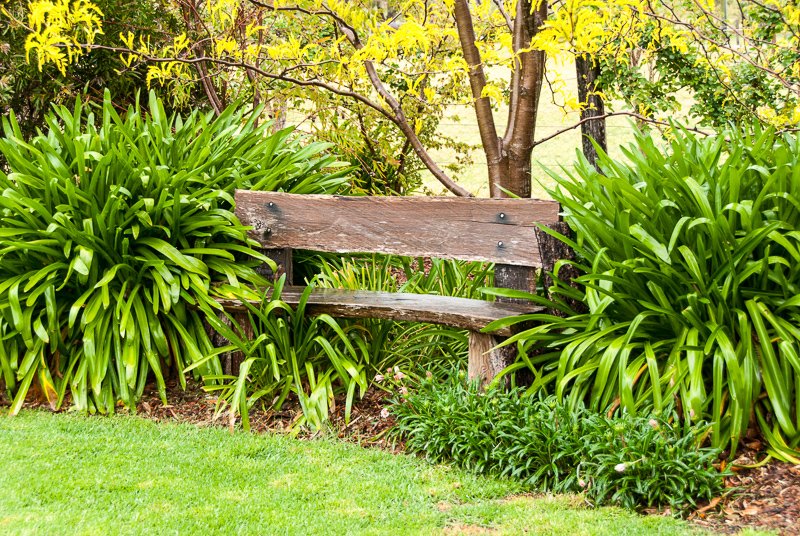 Moruya garden visit.