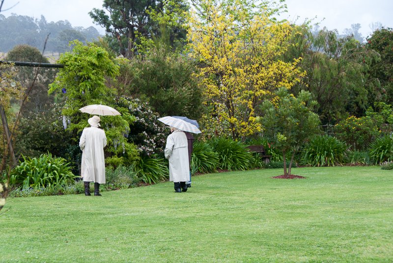Moruya garden visit.