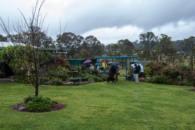 Moruya garden visit.