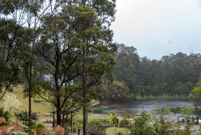 Batemans Bay garden visit. Beautiful even if very wet.