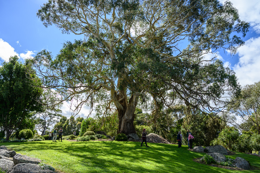 Behn garden, Reidsdale