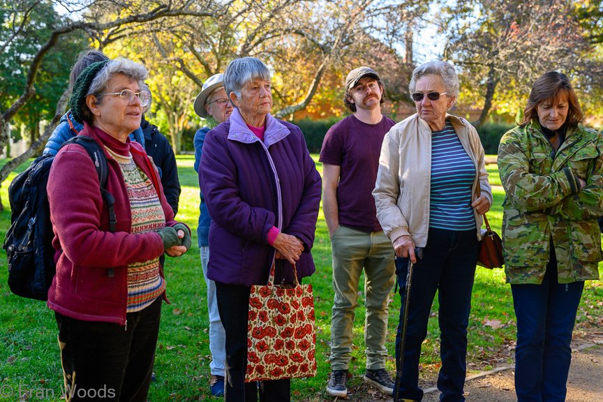 Braidwood Garden Club Tree Walk, 6 May2022.