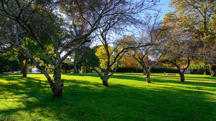 Braidwood Garden Club Tree Walk, 6 May2022.