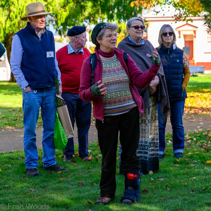 Braidwood Garden Club Tree Walk, 6 May2022.