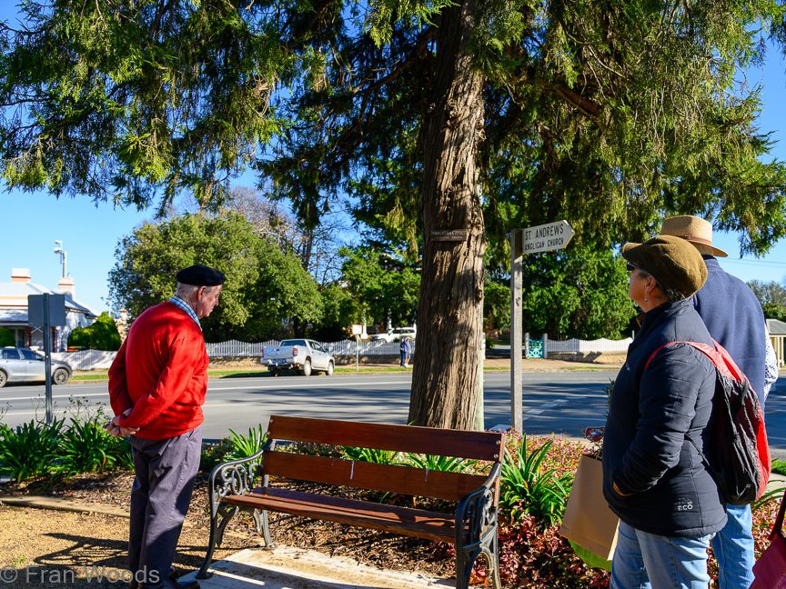 Braidwood Garden Club Tree Walk, 6 May2022.