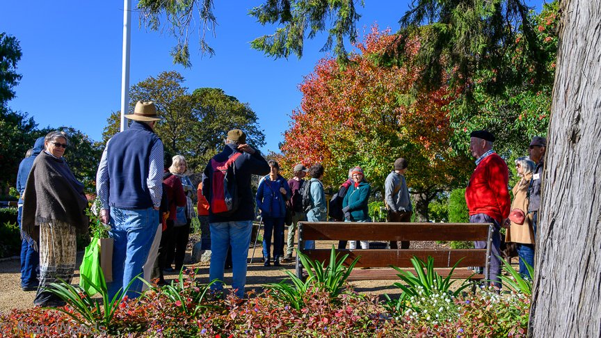 Braidwood Garden Club Tree Walk, 6 May2022.