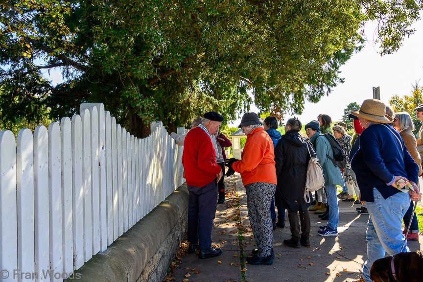 Braidwood Garden Club Tree Walk, 6 May2022.