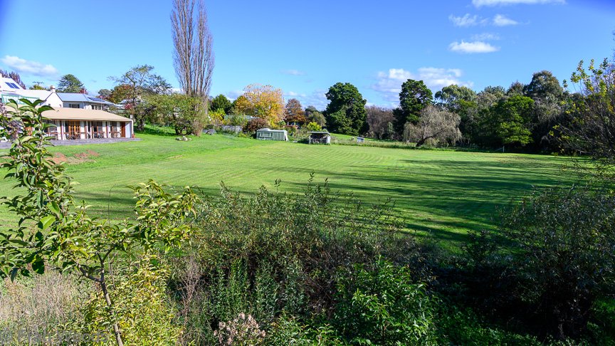Braidwood Garden Club Tree Walk, 6 May2022.