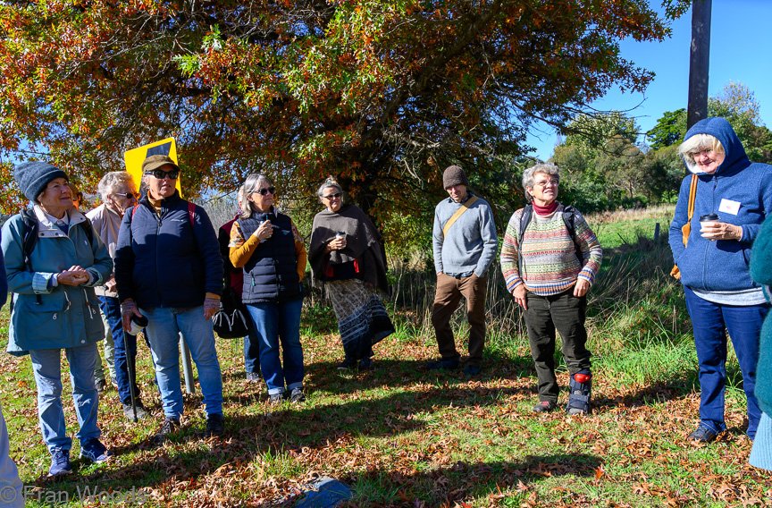 Braidwood Garden Club Tree Walk, 6 May2022.