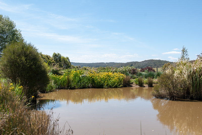 Open Gardens of Australia. Kate Chinnick's garden (Tudor Valley) on Tudar Valley Rd near Braidwood.