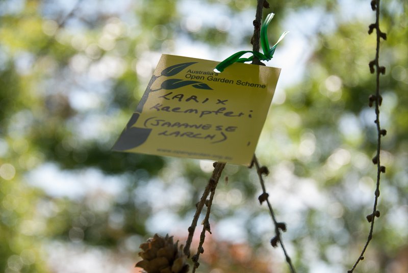 Open Gardens of Australia. Kate Chinnick's garden (Tudor Valley) on Tudar Valley Rd near Braidwood.