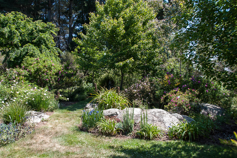 Open Gardens of Australia. Kate Chinnick's garden (Tudor Valley) on Tudar Valley Rd near Braidwood.