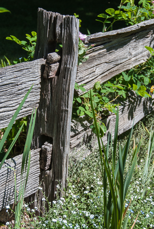 Open Gardens of Australia. Kate Chinnick's garden (Tudor Valley) on Tudar Valley Rd near Braidwood.