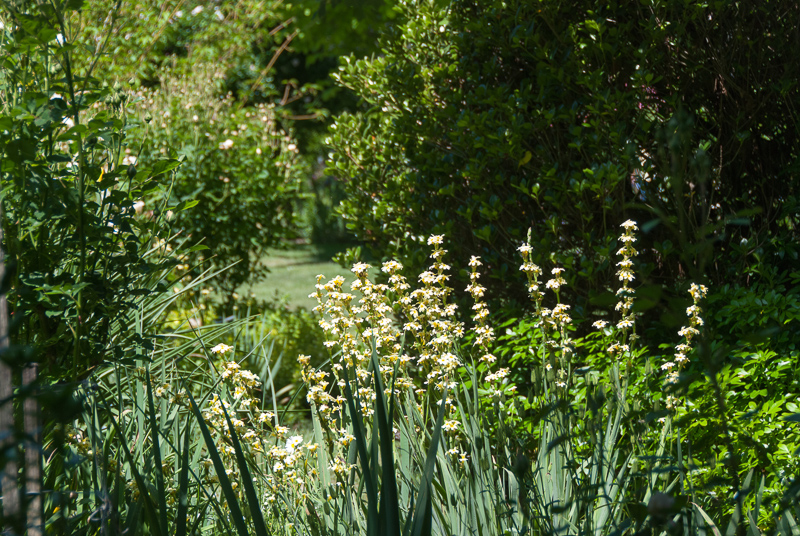 Open Gardens of Australia. Kate Chinnick's garden (Tudor Valley) on Tudar Valley Rd near Braidwood.