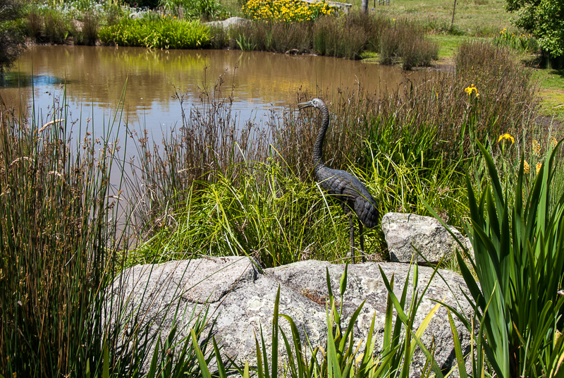 Open Gardens of Australia. Kate Chinnick's garden (Tudor Valley) on Tudar Valley Rd near Braidwood.