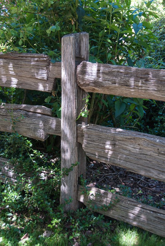 Open Gardens of Australia. Kate Chinnick's garden (Tudor Valley) on Tudar Valley Rd near Braidwood.