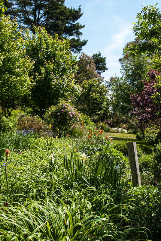 Open Gardens of Australia. Kate Chinnick's garden (Tudor Valley) on Tudar Valley Rd near Braidwood.