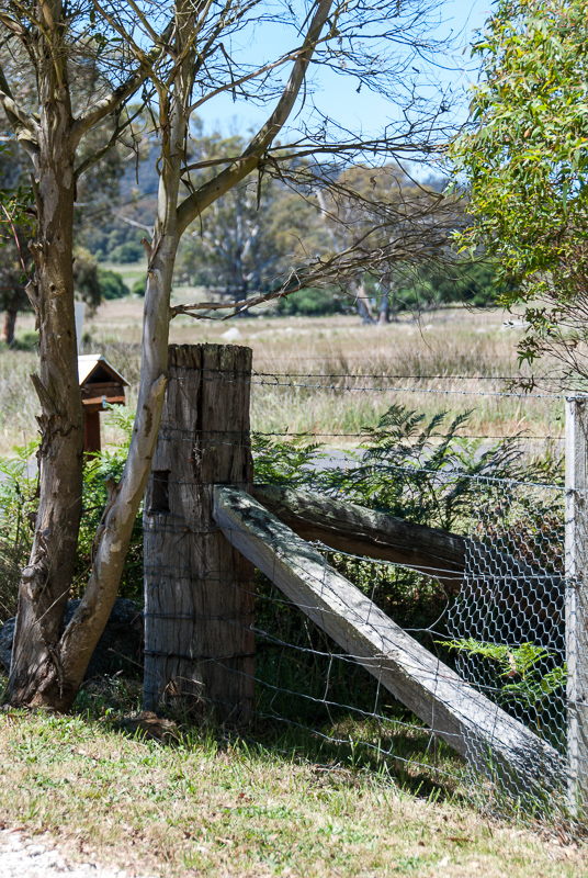 Open Gardens of Australia. Robyn Sim's garden (Green Farm) on Reidsdale Rd off Araluen Rd near Braidwood.