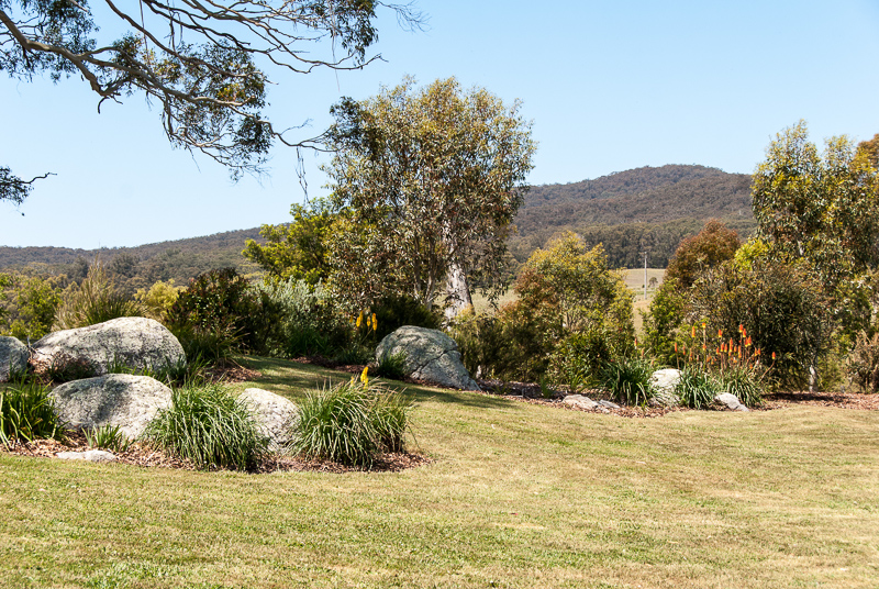 Open Gardens of Australia. Robyn Sim's garden (Green Farm) on Reidsdale Rd off Araluen Rd near Braidwood.