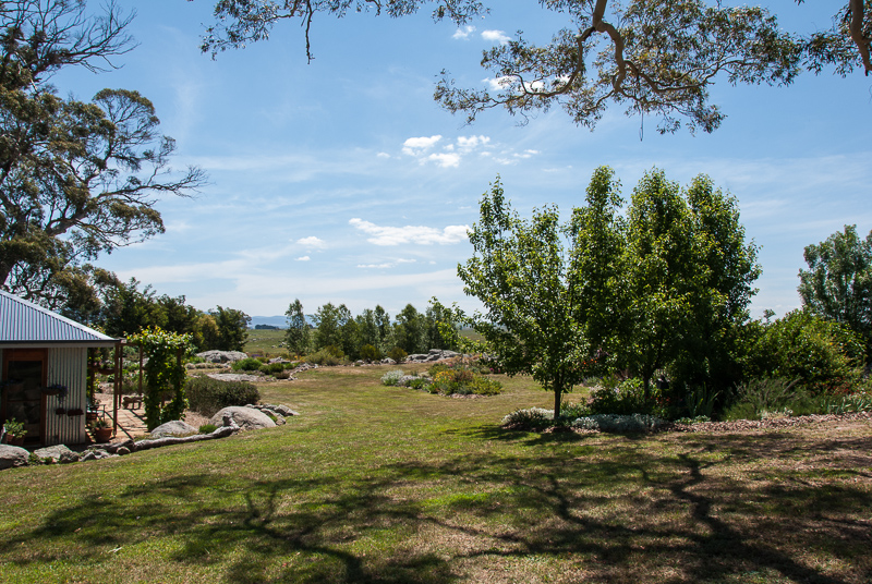 Open Gardens of Australia. Robyn Sim's garden (Green Farm) on Reidsdale Rd off Araluen Rd near Braidwood.