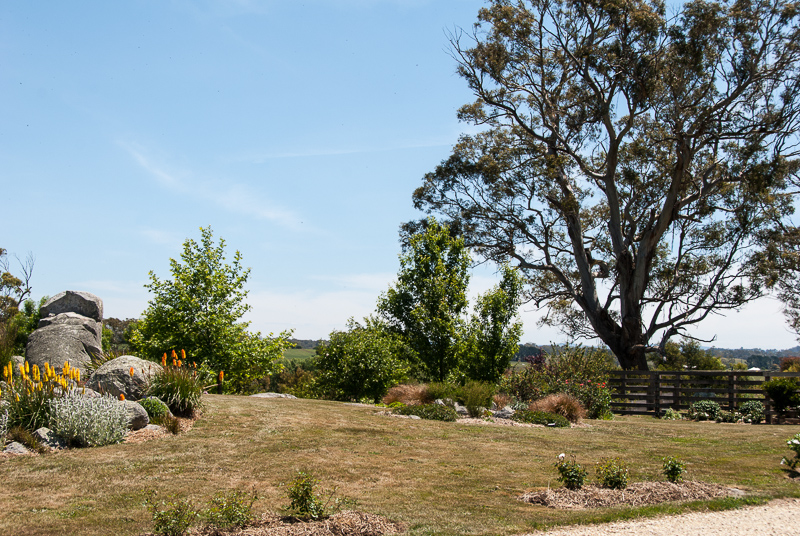 Open Gardens of Australia. Robyn Sim's garden (Green Farm) on Reidsdale Rd off Araluen Rd near Braidwood.