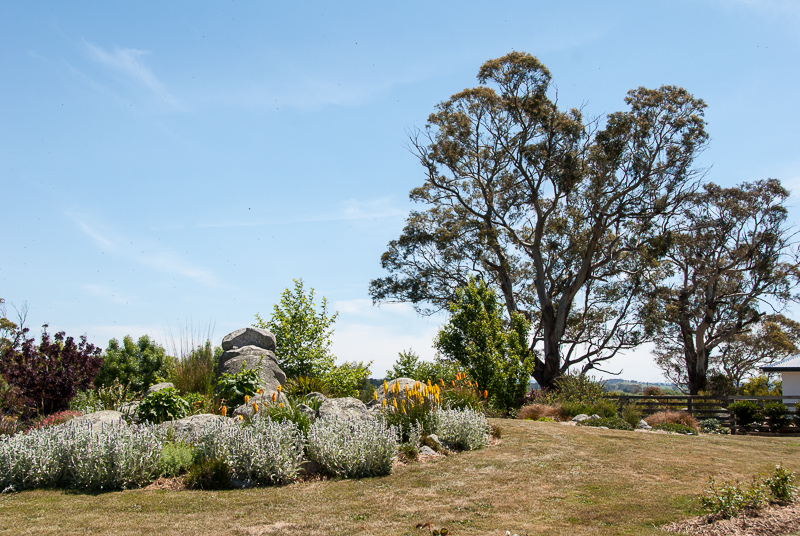 Open Gardens of Australia. Robyn Sim's garden (Green Farm) on Reidsdale Rd off Araluen Rd near Braidwood.