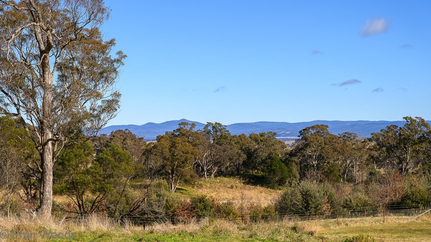 Views around the property