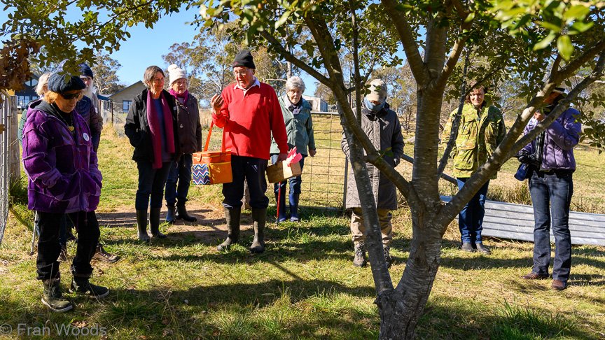 Truffle hunting